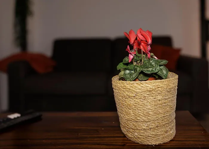 Manhattan Loft - Centre - 5 Mn A Pied Gare - Parking Prive - Patio Apartment *