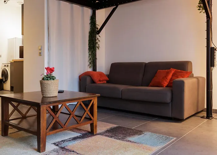 Apartment Manhattan Loft - Centre - 5 Mn A Pied Gare - Parking Prive - Patio